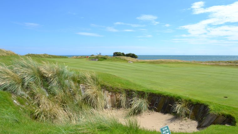 European Club, Wicklow