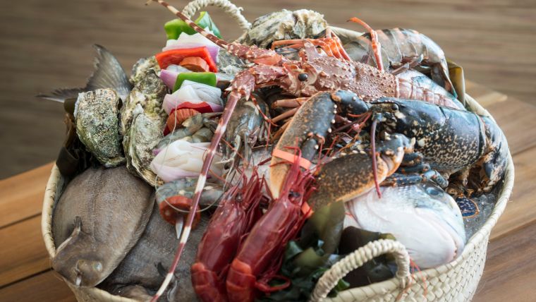 Anantara Vilamoura Algarve Resort  22