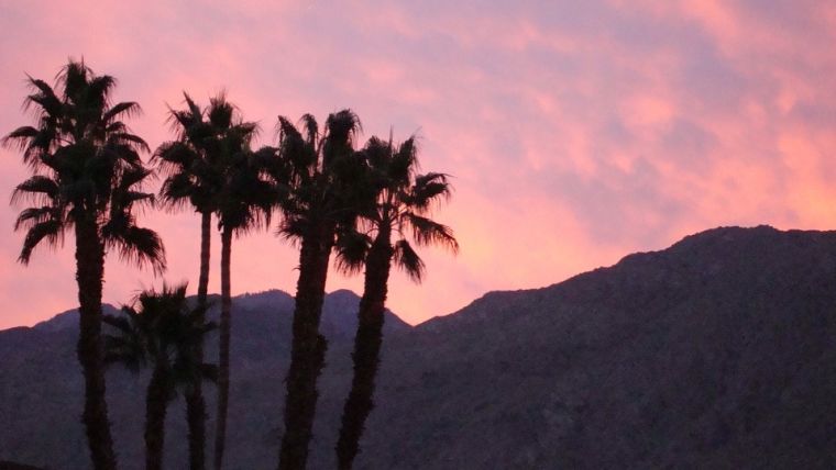 Nightlife, Palm Springs