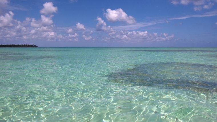 Nylon Pool, Tobago