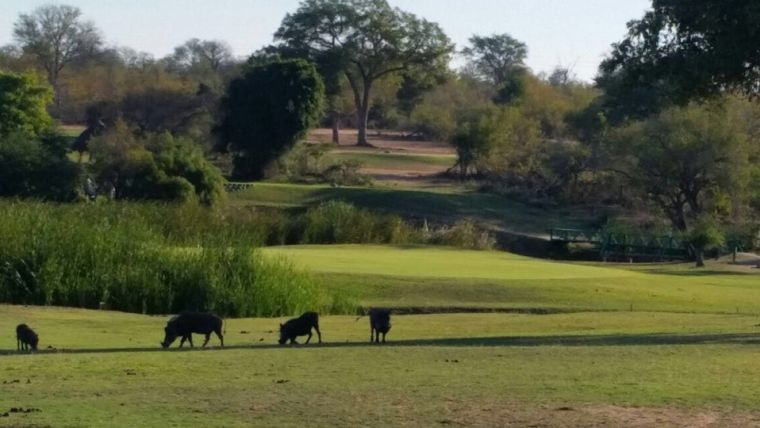 Skukuza Golf Course