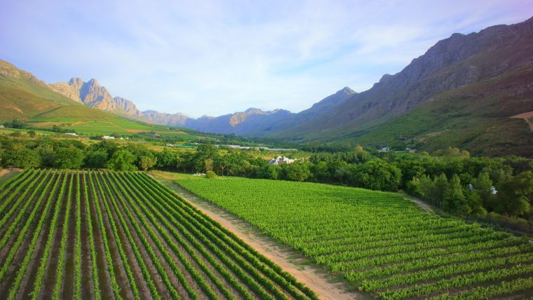 Wineries, Cape Town