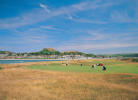 Filmstrip image 6