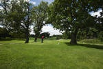 Filmstrip image 11