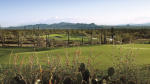 Filmstrip image 11