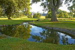 Filmstrip image 8