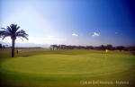 Filmstrip image 12