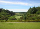 Filmstrip image 3