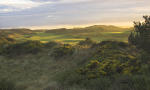 Filmstrip image 11