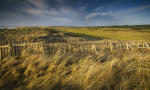 Filmstrip image 3