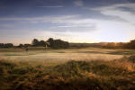 Filmstrip image 6