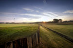 Filmstrip image 8