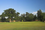 Filmstrip image 9
