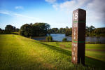 Filmstrip image 9