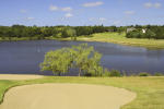 Filmstrip image 8