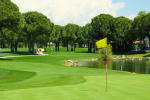Filmstrip image 9