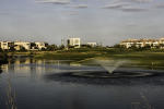 Filmstrip image 12