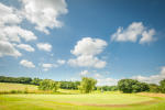 Filmstrip image 8