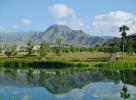 Filmstrip image 2
