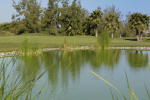 Filmstrip image 6