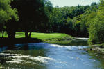 Filmstrip image 7