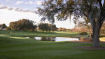 Filmstrip image 8