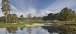 Filmstrip image 5