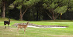 Filmstrip image 5