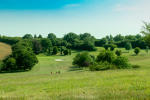 Filmstrip image 2