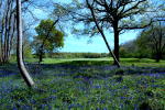 Filmstrip image 7