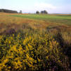 Filmstrip image 9