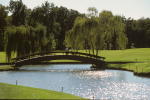 Filmstrip image 5