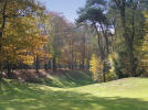 Filmstrip image 3