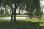 Filmstrip image 2