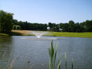 Filmstrip image 4