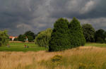 Filmstrip image 6