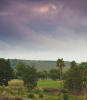 Filmstrip image 11