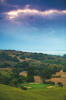Filmstrip image 12