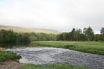 Filmstrip image 2