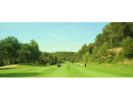 Filmstrip image 3