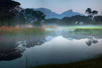 Filmstrip image 8