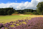 Filmstrip image 2