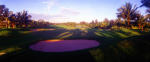 Filmstrip image 9