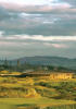 Filmstrip image 11