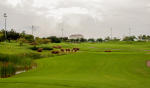 Filmstrip image 2
