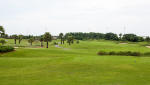 Filmstrip image 8