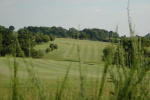 Filmstrip image 7