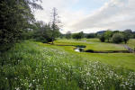 Filmstrip image 9