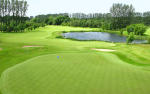 Filmstrip image 9