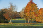 Filmstrip image 7